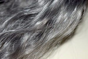 How can I turn my GREY hair into black permanently?