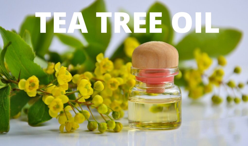 11 Marvellous Btea tree oil for nail fungusenefits of Tea Tree oil