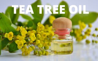 11 Marvellous Btea tree oil for nail fungusenefits of Tea Tree oil