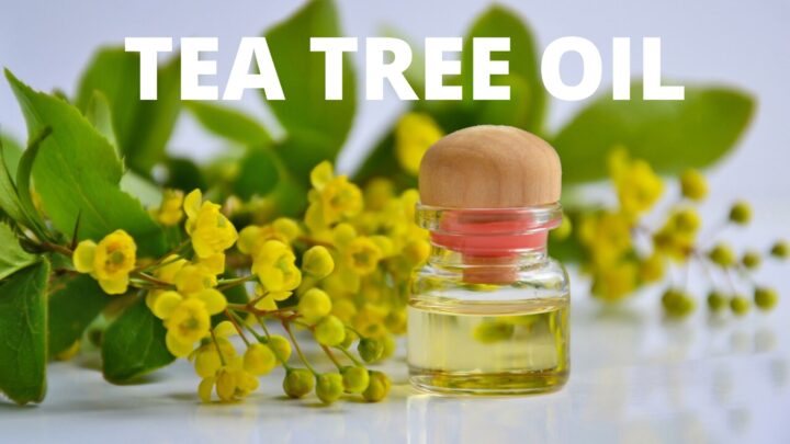 11 Marvellous Btea tree oil for nail fungusenefits of Tea Tree oil