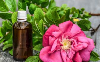 Rosehip Oil for Acne and Skin Benefits