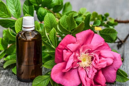 Rosehip Oil for Acne and Skin Benefits