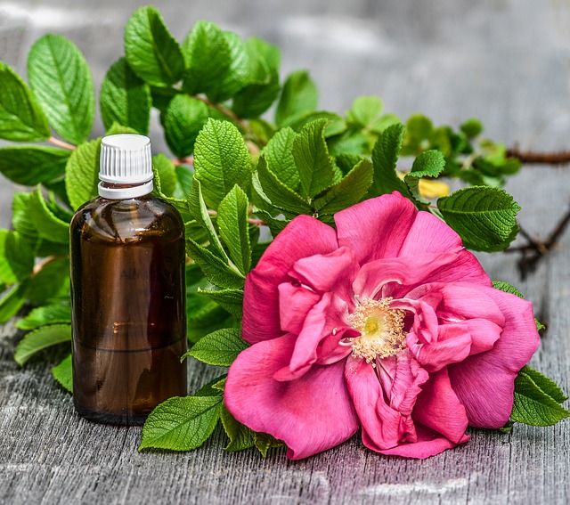 Rosehip Oil for Acne and Skin Benefits