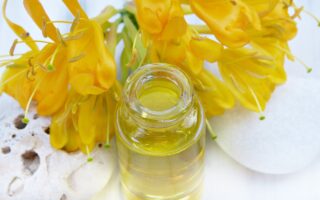 Jojoba Oil to fight wrinkles